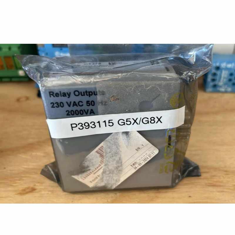 ROTOR OVERSPEED GUARD SYSTEM OGS